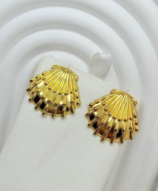 Arete concha