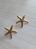Arete acero estrella de mar