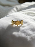 Anillo acero