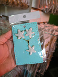 Conjunto aretes y cadena esmaltado